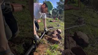Es kommt Wasser in die Jurte Part 1🏕️☀️🌊🌳#offgrid #portugal #offgridliving #auswandern#farm #diy