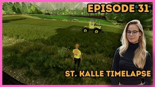 How Not To Make Hay | FS22 St. Kalle Timelapse Adventure Ep 31🌾🚜