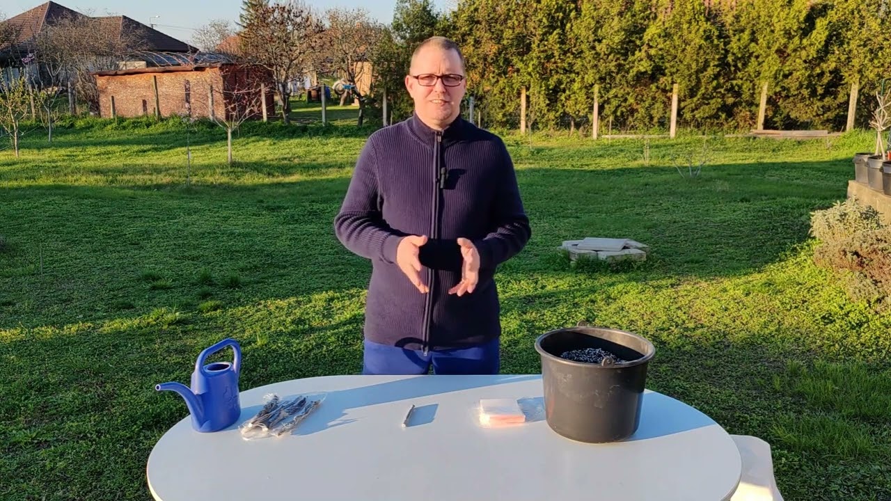 Füge dugványozása – gondozásmentes, idő- és költséghatékony módszer 1. rész (Fig Pop)