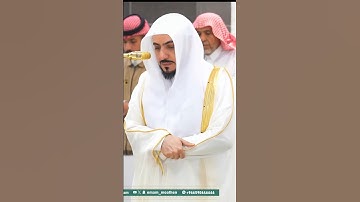 ( الم ترى كيف فعل ربك باصحاب الفيل ) شيخ الوليد بن الشمسان سورة الفيل #القرآن_الكريم #مكة#subscribe