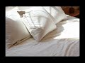 【全年齢】日曜の朝　バイノーラル　【女性向け】