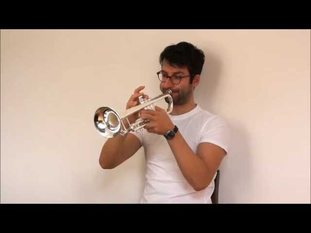 Vincent Bach Standard Trumpet Mouthpiece - Virtuosity