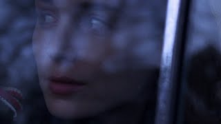 CAROL in Context | A Glance is Worth a Thousand Words