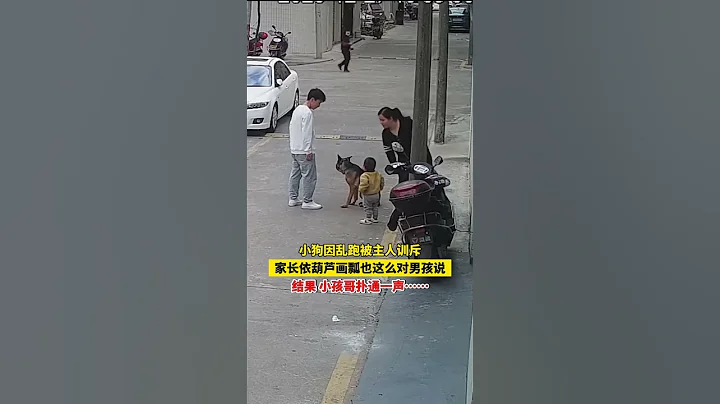 主人訓斥小狗「再亂跑把你頭敲掉」，家長依葫蘆畫瓢也這麼對男孩說，結果 小孩撲通一聲…… - 天天要聞