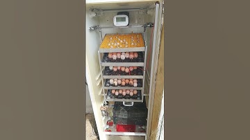 kuluçka makinası yapımı #doğa #doğalyaşam #köy #hayat