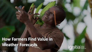 Smallholder Profitability - The Role of Weather Forecasts in Making Impact