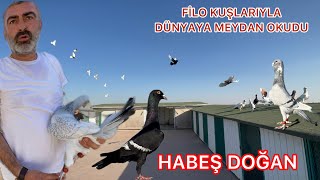 TÜRKİYE DE TEK SERVET DEĞERİNDE FİLO GÜVERCİN TESİSİ  ( HABEŞ DOĞAN ) ÇİFTLİĞİ