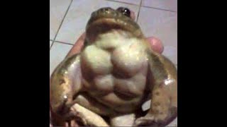 Fotinaite or Babaji?