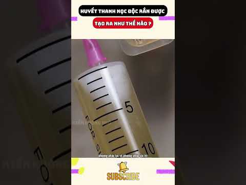 Video How is snake venom antiserum produced? - youtube