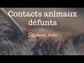 contacts animaux défunts