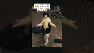 Catesh Bhai Ka Dance Fire Hai🔥🤪😸🐈#catattitude #catcomedy #catdance #cateshbhai #funny #catvideos #1k