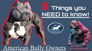 American Bully Dog Owner: 8 Things you need to know!