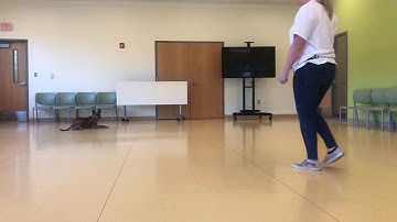 Kayleigh Raposa and Piper - Behavior chain using back chaining - lesson 10 - finished behavior