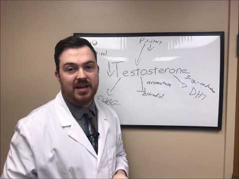 Video: Er androsteron og testosteron det samme?