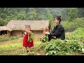 Daily life of a single mother on a mountain farm gardening harvesting vegetables cooking  ep 36