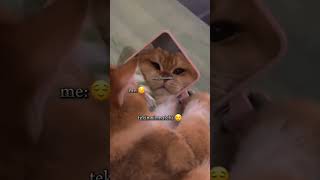 yana qanaqa video qoyi kament yozing yana qanaqa video qoyi kament yozing