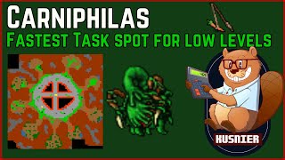 Carniphilas | 33+ Sorcerer/Druid | Fastest Grizzly Task Spot | Tibia