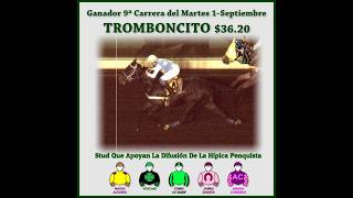 Vidéo de la course PMU PREMIO MAR DE CORAL
