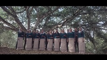 Hnahthial Bial UPC Zaipawl - MEDLEY (Lal engkimtitheia chuan / Halleluiah kan sa rual ang (cover)