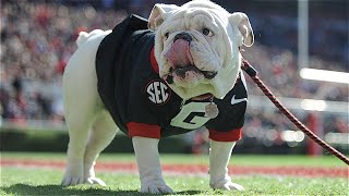 Walking Home: North Campus To Sanford Stadium On A Gorgeous Day In Athens