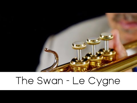 "The Swan - Le Cygne"  (Play with Me n.23) - Andrea Giuffredi