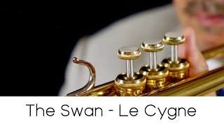 'The Swan - Le Cygne'  (Play with Me n.23) - Andrea Giuffredi