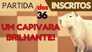 GAMBITO DA DAMA ACEITO  CAPIVARA DO XADREZ ♟️👑🏆 