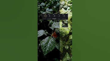 Moody green color grading vn tutorial 📍      #vn #colorgrading #rainyday #moodyedits #reelsinstagram