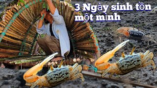 3 Ngày sinh tồn một mình trên hòn đảo