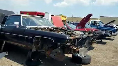 Classic Car row at local salvage yard