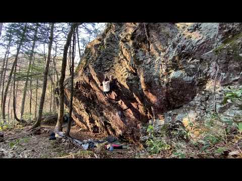 蜥蜴？　赤岩青巌峡
