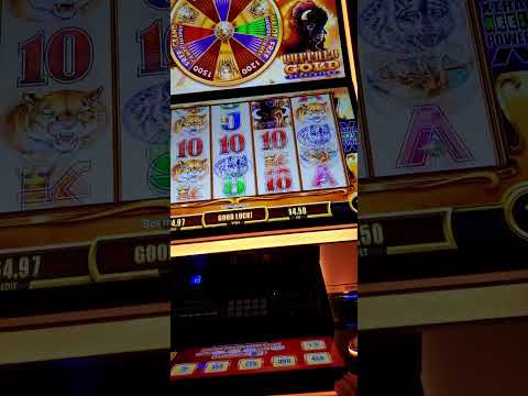 Gioca al Buffalo Casino Online: il Meglio del Casinò in Italiano