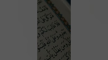 وإذا قرئ القرآن فاستمعوا له وأنصتوا لعلكم ترحمون || ياسر الدوسري Yasser Al Dosary سورة الأعراف