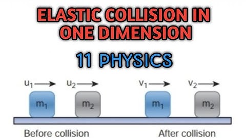 Elastic collision in one dimension| 11 Physics| Samacheer kalvi.