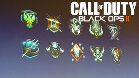 Official Call of Duty Black Ops 2 Prestige Icons (Black ops 2 Prestige Icons)