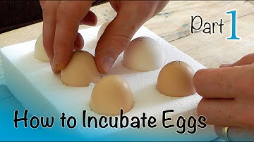 How to Incubate and Hatch Eggs | Part 1 of 3 | Setting up the Incubator