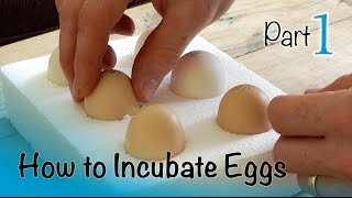 How to Incubate and Hatch Eggs | Part 1 of 3 | Setting up the Incubator