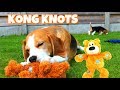 Funny Dog Toy Critics &quot;Louie and Marie&quot; Episode #8 : KONG WILD KNOTS