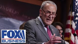 Schumer’s assertion is a lie like everything else from the left, GOP rep says