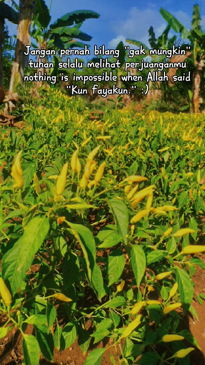 kun fayakun #storywa #quotes #storywaterbaru #shorts