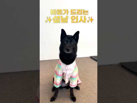 소녀 큰절 올립니다. 새해 복 많이 받으시옵소서.