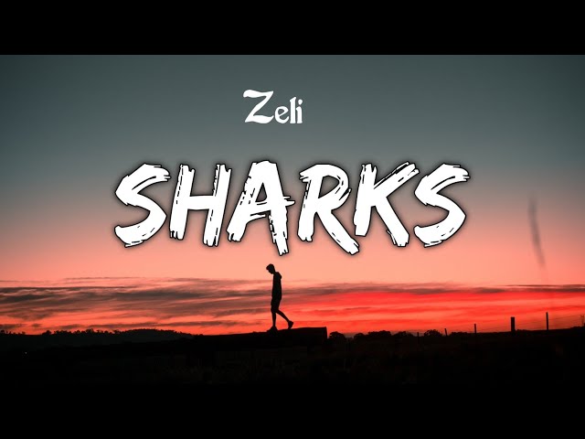 Zeli - Sharks [Lyrics] NCS class=