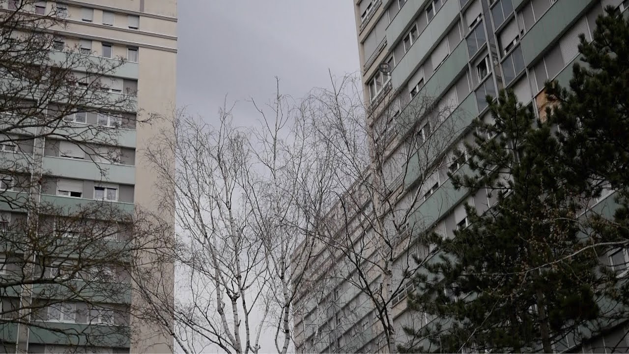 DES RACINES ET DES BLOCS