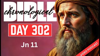 Day 302 John 11 | One Year Chronological Audio Bible Podcast