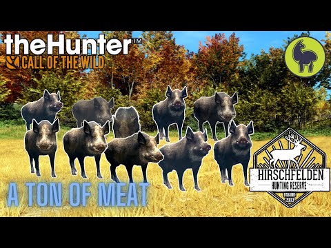 Tressler- A Ton of Meat, Hirschfelden | theHunter: Call of the Wild (PS5 4K)