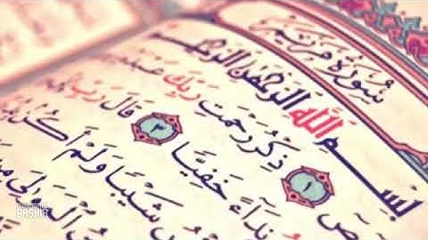 القرآن الكريم بصوت يدخل القلب بدون استئذان