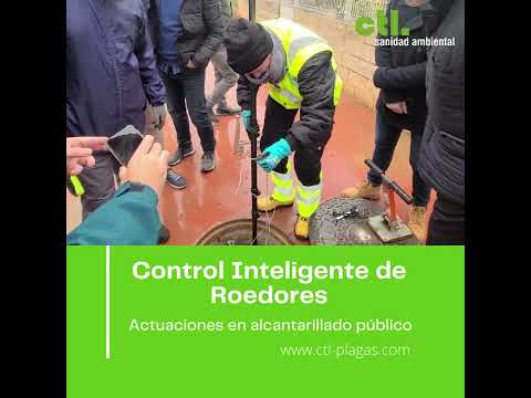 CTL trae a España el primer sistema no contaminante contra roedores del alcantarillado público.