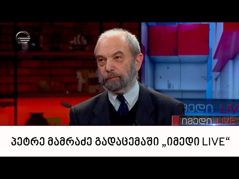 „მართვის სტრატეგიული ინსტიტუტის“ ხელმძღვანელი პეტრე მამრაძე გადაცემაში „იმედი LIVE“