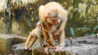 My God! Rainbow couldn’t move, What’s Sovana did to do like this on it baby?