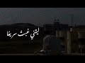 كلهم كانوا فدائي أصبحوا اليوم ورائي
